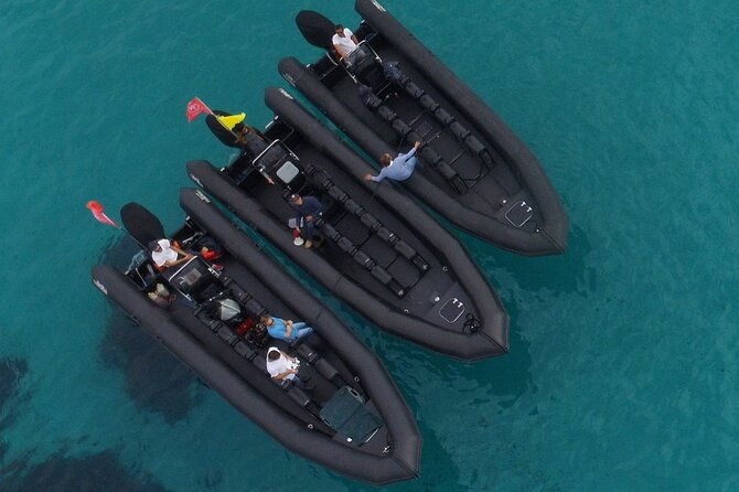 boat-excursion-nice-st-jean-cap-ferrat-1h30