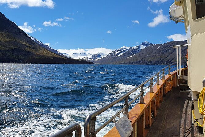 boat-tours-from-siglufjordur-2