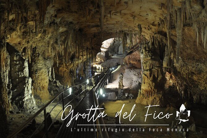 boat-trip-fico-cave-cala-mariolu-gabbiani-biriala-3