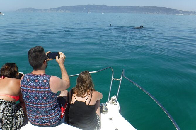 boat-trip-for-dolphin-watching-along-the-arrabida-coast-and-sesimbra