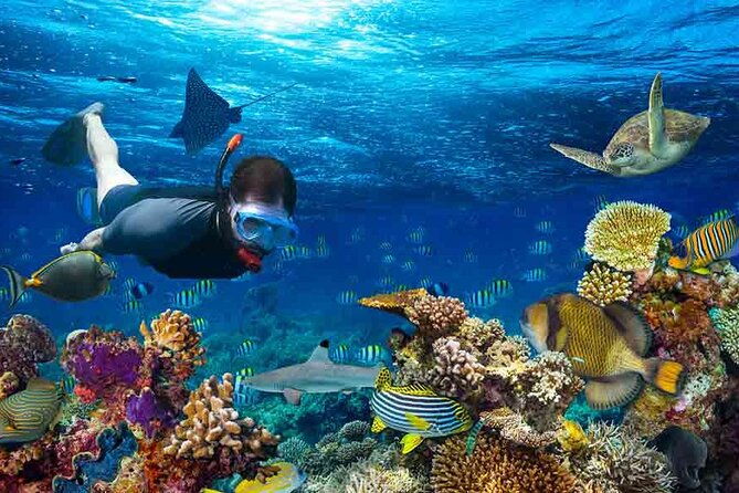 boatride-snorkeling-then-margaritaville-hipstrip-activity