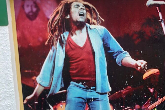 bob-marley-nine-mile-sightseeing-tour-from-falmouth