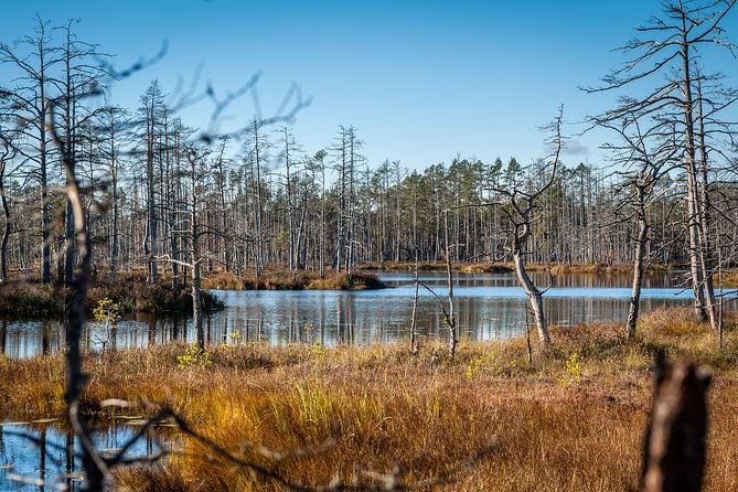 bogs-and-resorts-in-jurmala