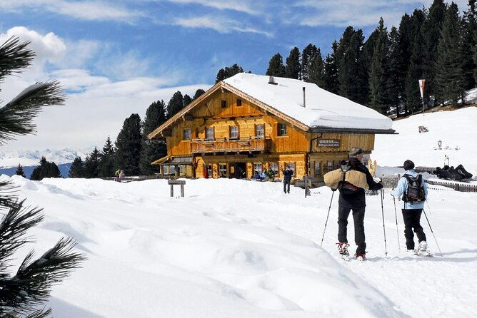 bolzano-dolomites-winter-hiking-sledding-experience