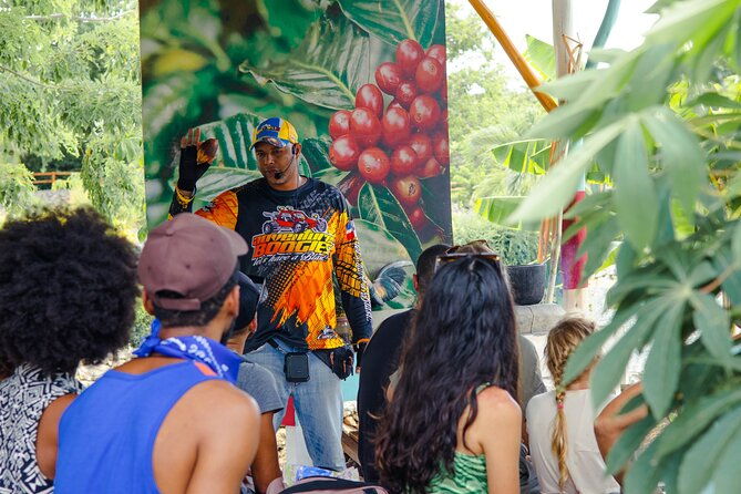 boogie-adventure-with-taino-show-cenote-and-mamajuana-tasting