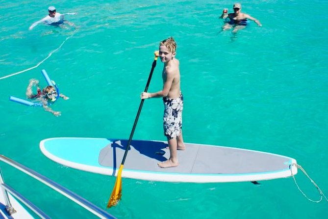 boomerangs-best-of-st-martin-maarten-swim-with-turtles