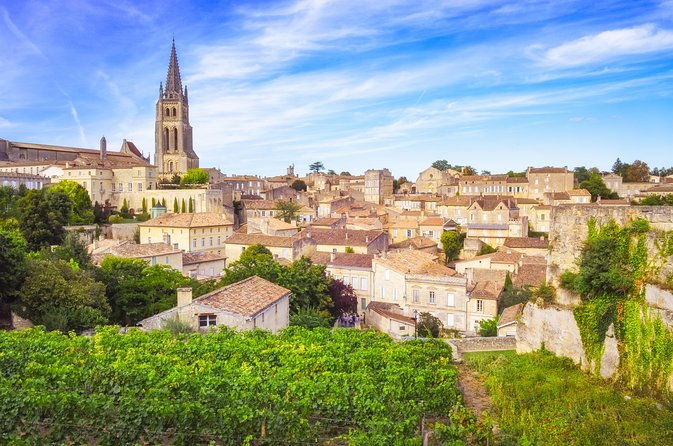bordeaux-shore-excursion-private-bordeaux-and-st-emilion-tour-2