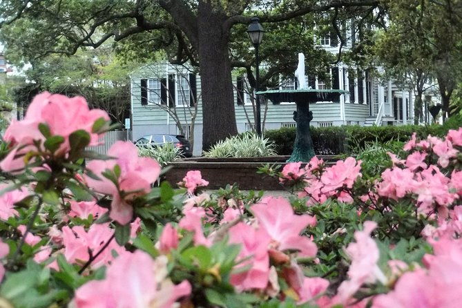botanical-tour-by-walk-with-me-savannah-tours