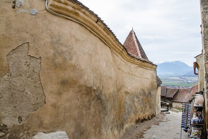 bran-castle-bear-sanctuary-and-rasnov-fortress-half-day-tour-2