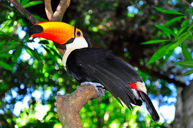 brazilian-falls-bird-park-and-itaipu-dam-from-foz-do-iguacu