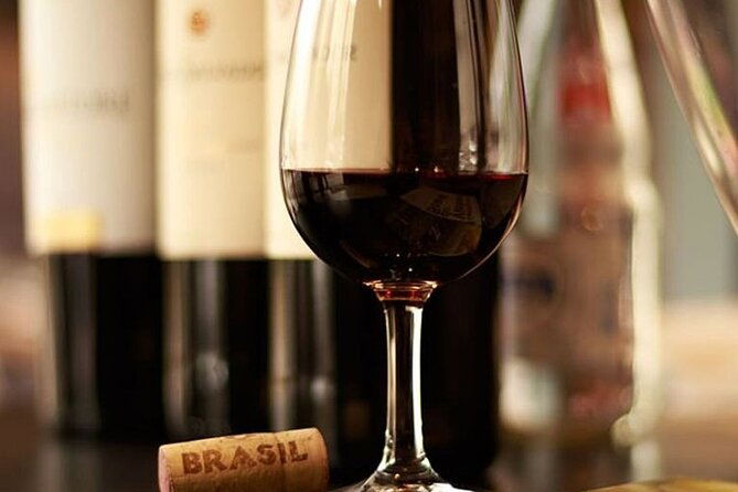 brazilian-meats-and-snacks-south-american-wines-guided-dinner
