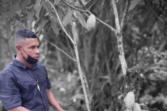 bribri-magic-chocolate-and-waterfall-experience