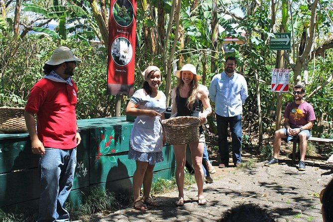 britt-coffee-tour-from-san-jose