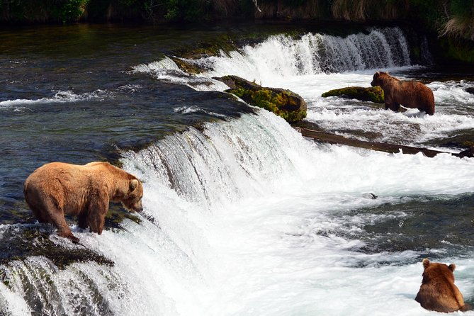 brooks-falls-katmai-bear-viewing-in-a-float-plane-2
