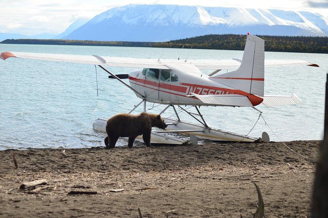 brooks-falls-katmai-bear-viewing-in-a-float-plane