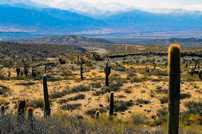 cachi-full-day-tour-from-salta