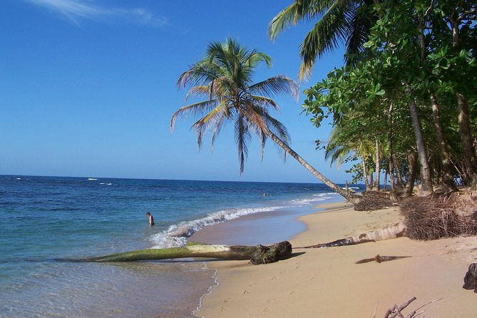 cahuita-national-park-banana-plantation-tour-shore-excursion-from-puerto-limon