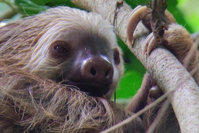 cahuita-national-park-hiking