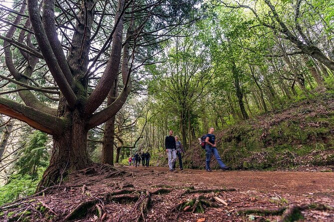 caldeirao-verde-levadas-walk-in-madeira
