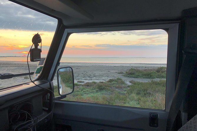 camargue-4x4-safari-day-2