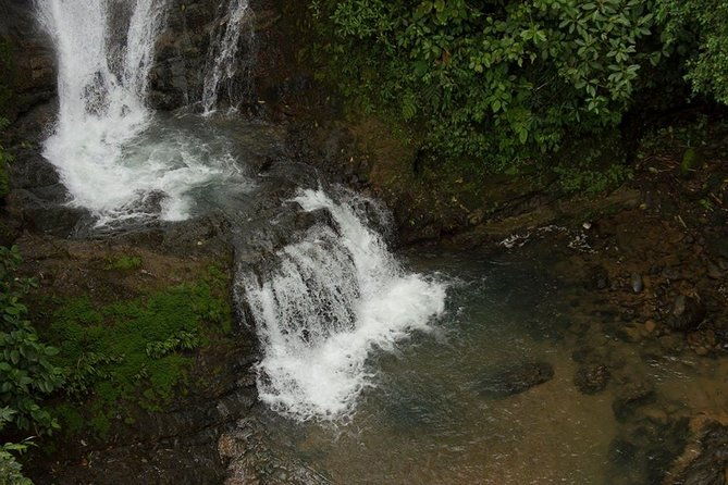 campesinos-waterfalls-and-hanging-bridges-from-manuel-antonio