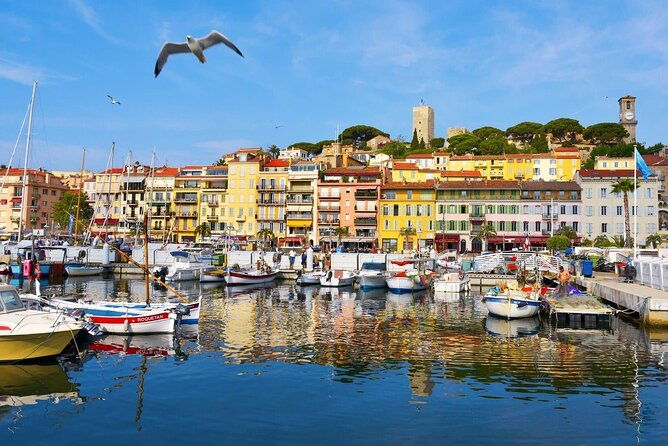 cannes-private-tour-film-festival-secrets-stunning-views