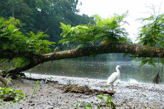 canoe-tour-in-tortuguero-national-park-3