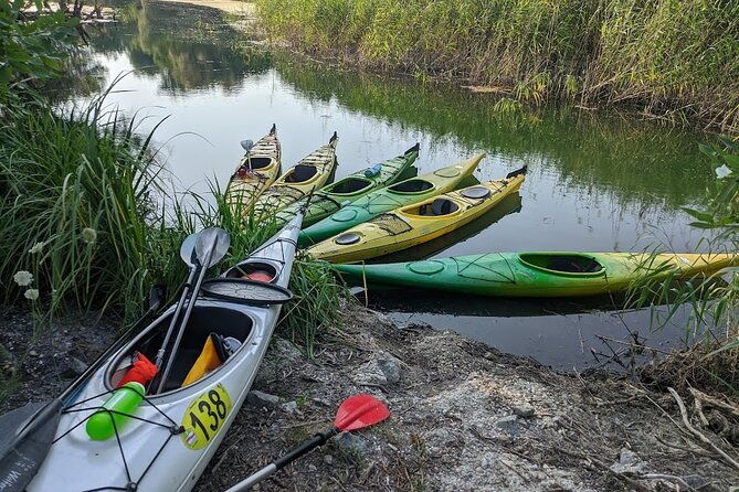 canoe-trip-with-bbq-on-danube