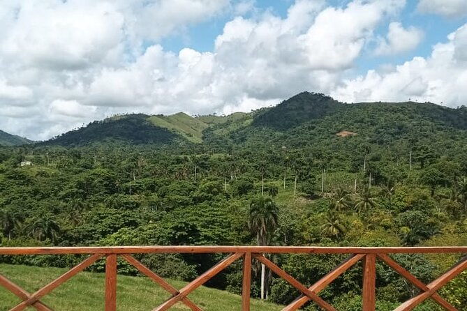 canopy-or-zipline-by-punta-cana-minimum-4-pax
