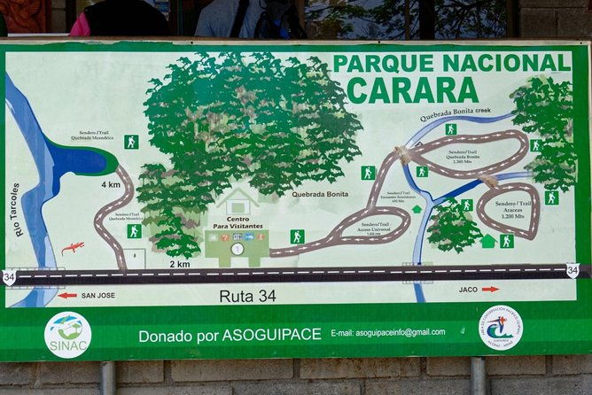 carara-national-park-birdwatching-private-guided-tour-experience