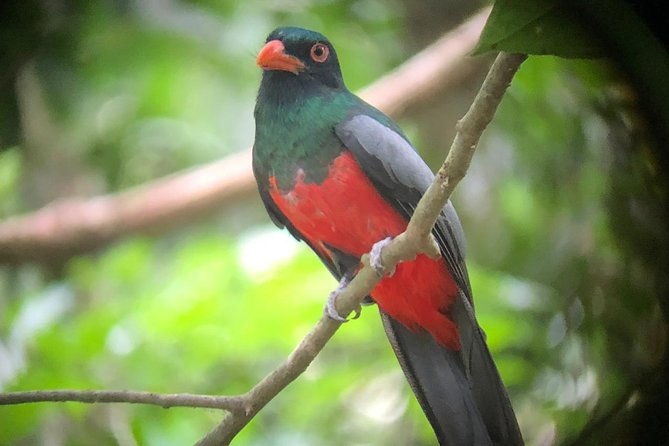 carara-national-park-tour