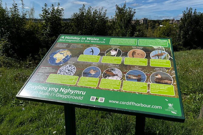 cardiff-bay-private-self-guided-tour