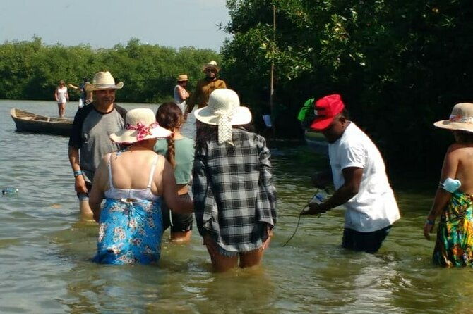cartagena-mangrove-private-tour