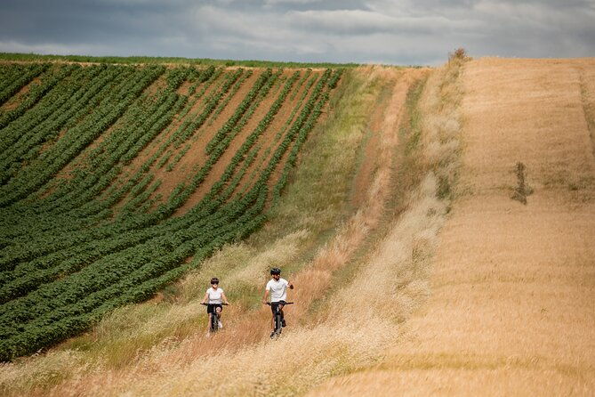 castiglion-fiorentino-ebike-tour-in-the-tuscan-countryside