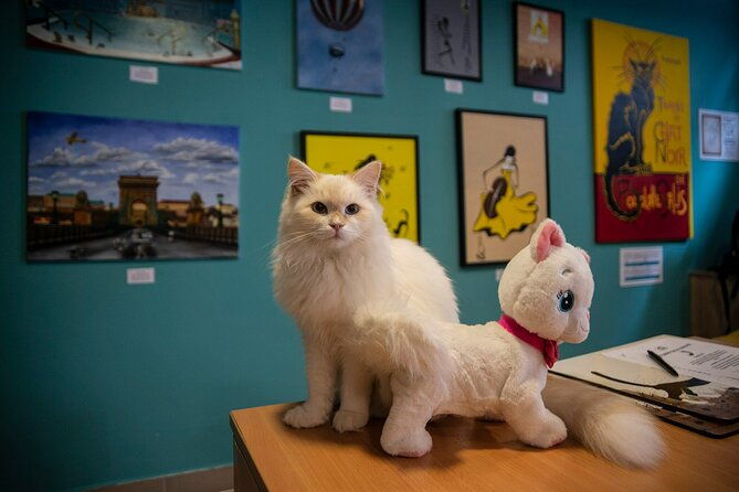 cat-museum-budapest-entry-ticket