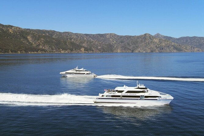 catalina-island-day-trip-from-anaheim-hotels-with-discover-avalon-tour