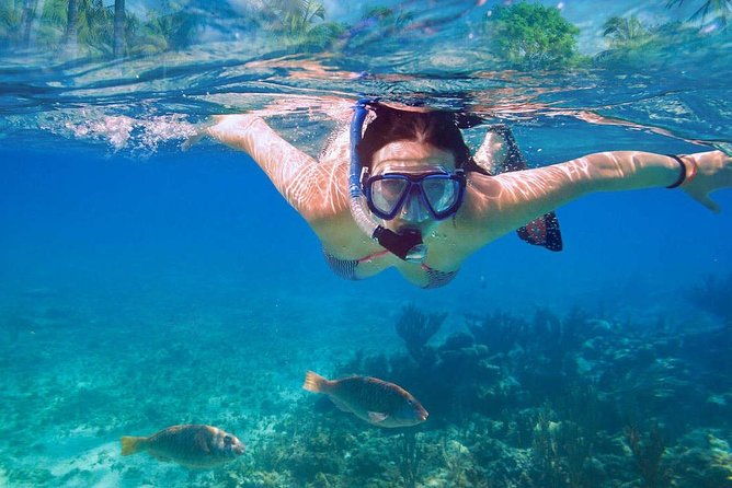 catalina-island-snorkeling-tour
