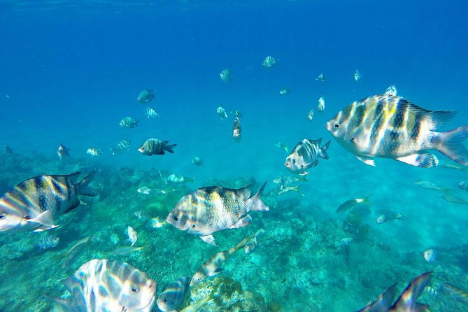 catamaran-cruise-with-snorkeling-and-lunch-on-board