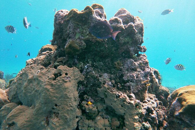 catamaran-party-cruise-with-snorkeling-bbq