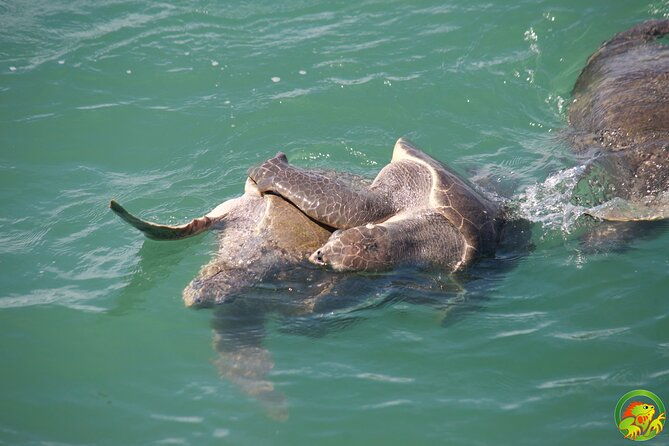 catamaran-tour-manuel-antonio