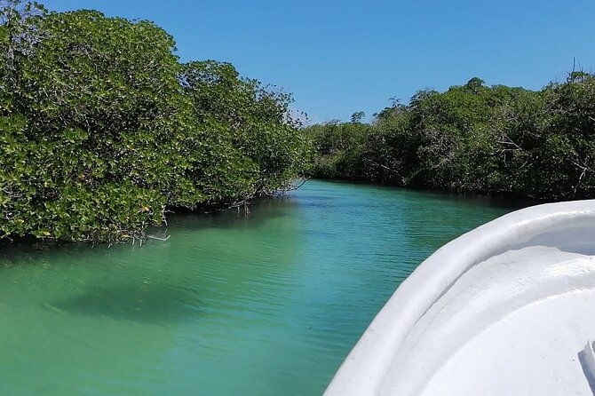 cayo-arena-paradise-island-tour