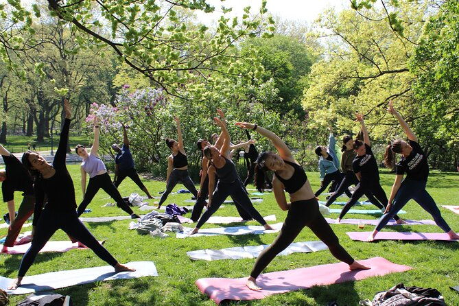 central-park-yoga-class-with-a-view-in-the-heart-of-new-york-city