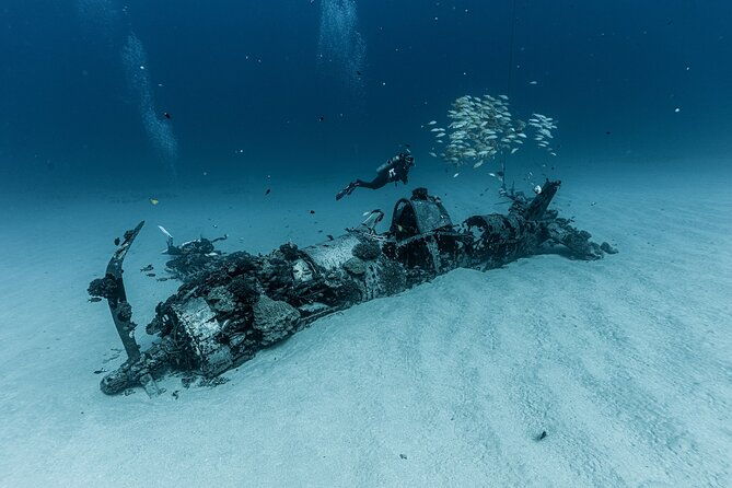 certified-scuba-diving-experience-in-honolulu