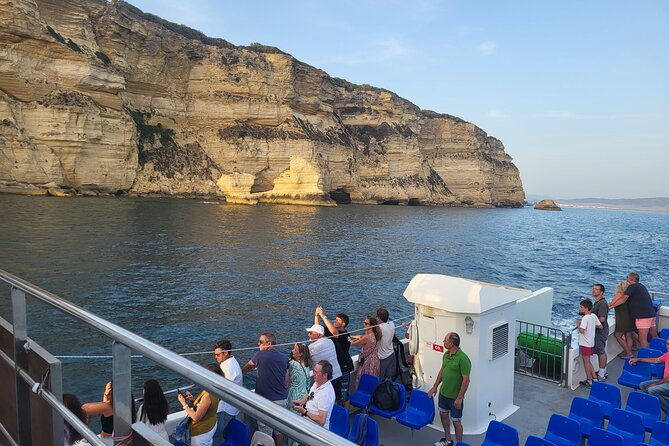 cetacean-watching-tour