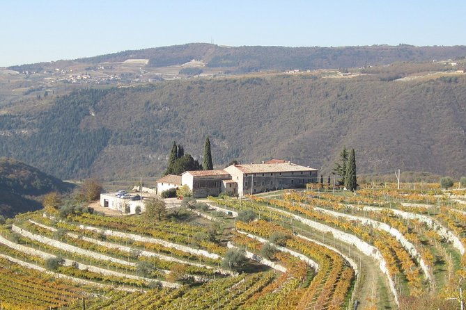 champagne-experience-at-a-boutique-winery