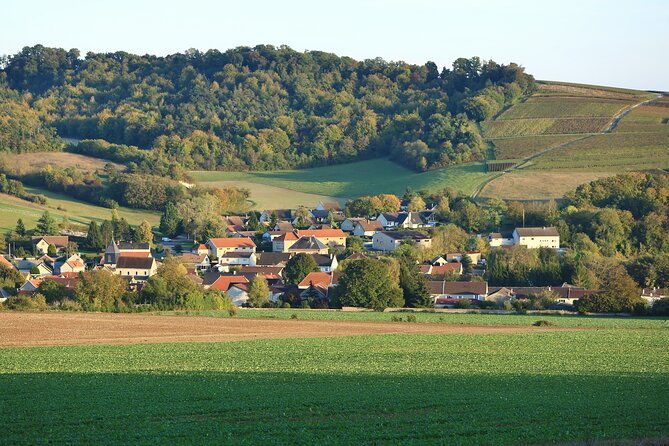 champagne-guy-de-chassey-premium-tour-and-tasting
