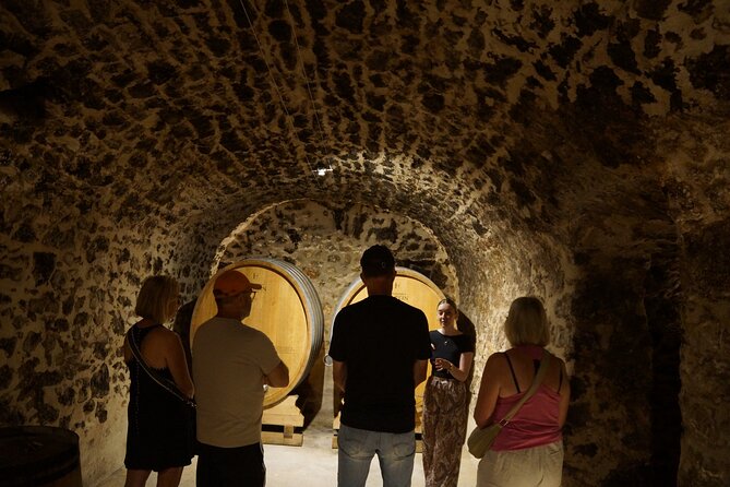 champagne-tour-and-tasting-with-a-friendly-guide-in-marne-valley