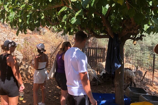 chania-area-cooking-class-at-a-farm-in-stylos-village-organic