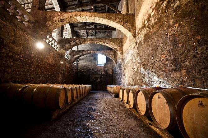 chateau-du-taillan-and-park-including-wine-tasting-tour