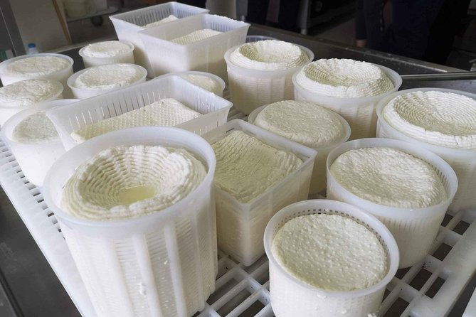 cheese-ricotta-making-teramo-abruzzo-italy